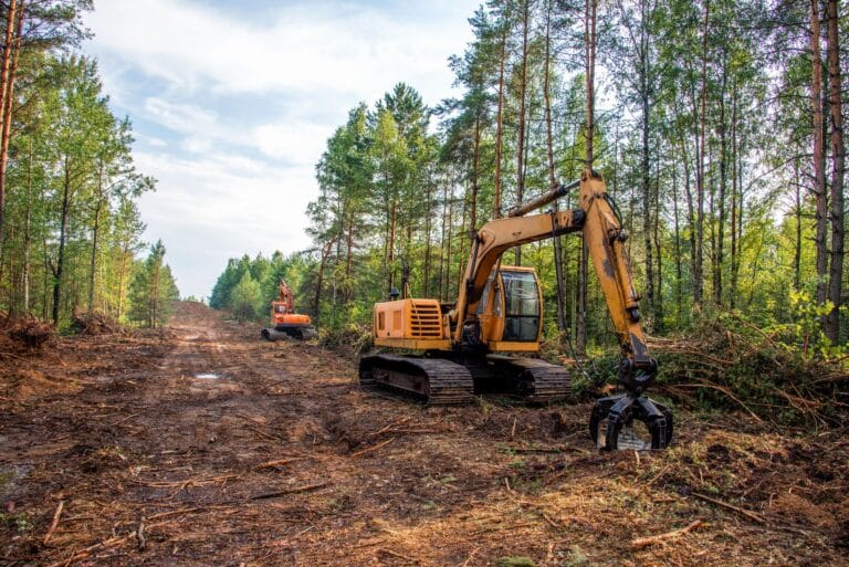 What Is the Cost of Land Clearing Factors to Consider