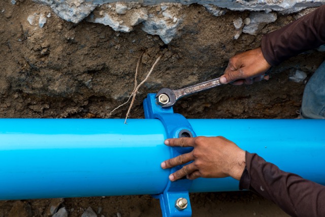 What to Do About Roots in a Sewer Line?