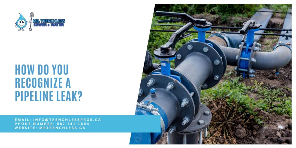 Recognize a Pipeline Leak in Calgary